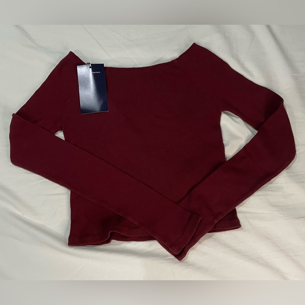Cropped Burgundy Brandy Melville Mayson top